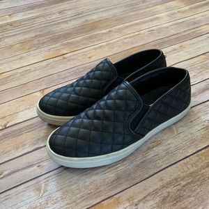 Steve Madden Ecentrcq